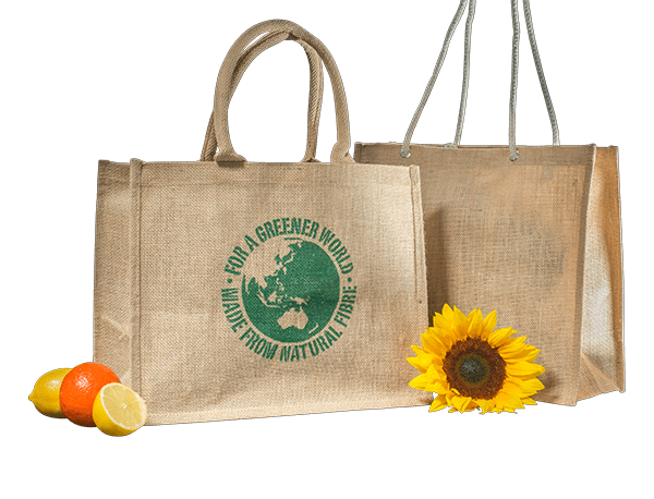 16. Retail & E-Com - Eco Friendly Carrybag DE DS
